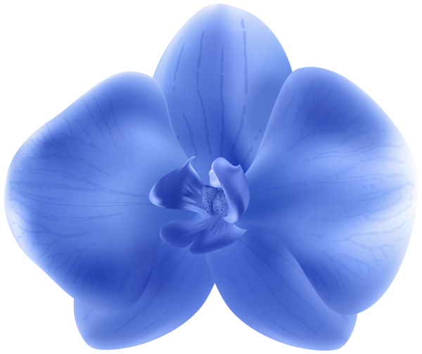 This png image - Blue Orchid PNG Transparent Clipart, is available for free download