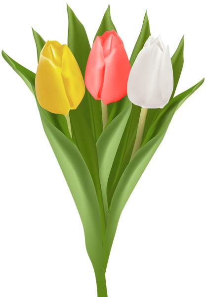 This png image - Bouquet with Tulips Clip Art Image, is available for free download