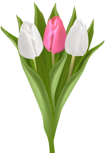 This png image - Bouquet with Tulips Transparent Clip Art, is available for free download