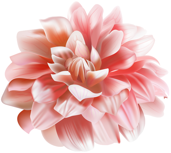 This png image - Chrysanthemum Flower Transparent Image, is available for free download