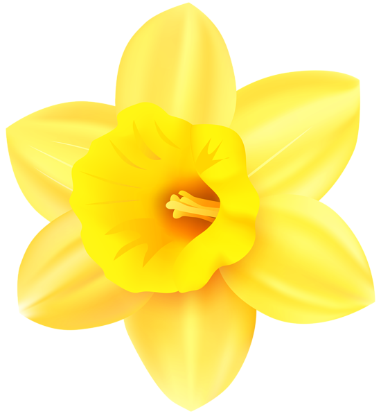 This png image - Daffodil PNG Transparent Clip Art Image, is available for free download