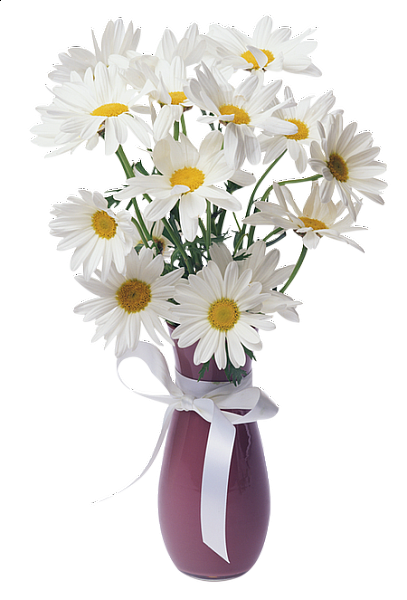 Daisies Transparent Vase Bouquet | Gallery Yopriceville - High-Quality