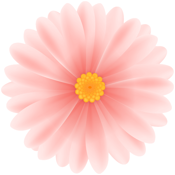 This png image - Daisy Flower PNG Clipart, is available for free download