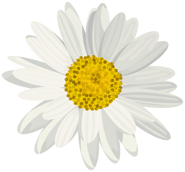 This png image - Daisy PNG Clip Art Image, is available for free download