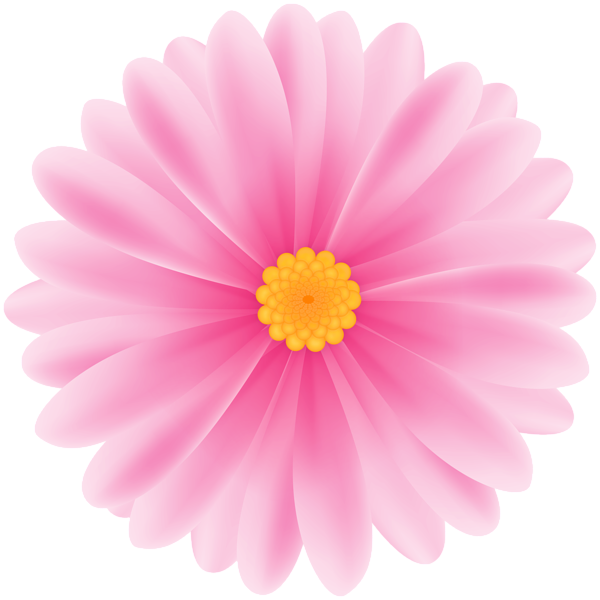 This png image - Daisy Pink Flower PNG Clipart, is available for free download