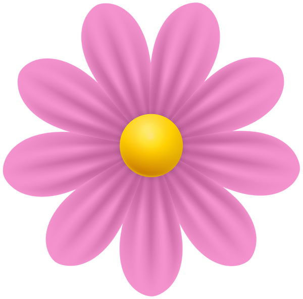 This png image - Daisy Pink Flower PNG Transparent Clipart, is available for free download