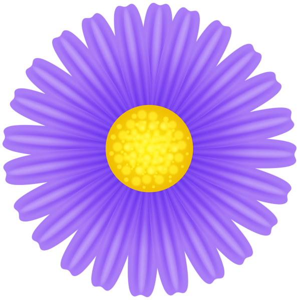 This png image - Daisy Purple Flower PNG Transparent Clipart, is available for free download