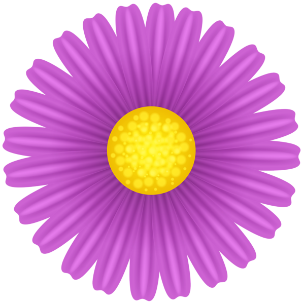 Daisy Violet Flower PNG Transparent Clipart | Gallery Yopriceville ...