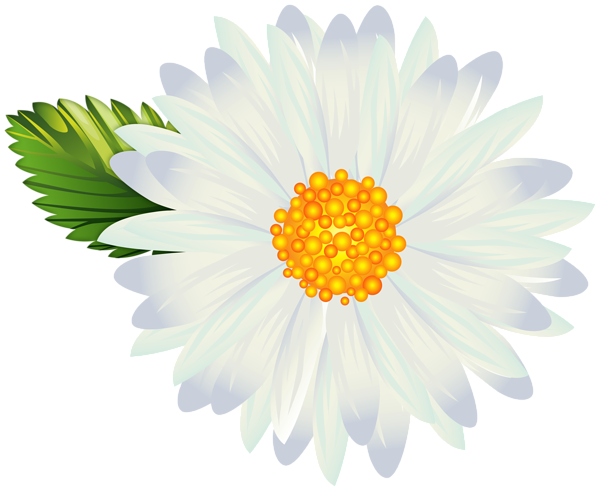 This png image - Decorative Flower Transparent Image, is available for free download