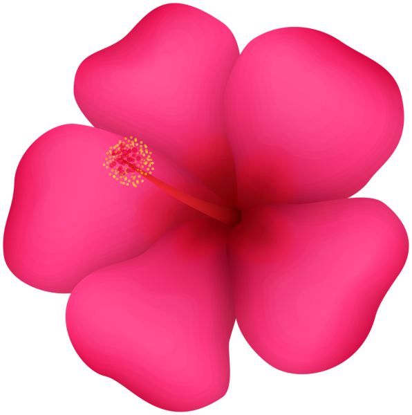 This png image - Exotic Flower PNG Clip Art Image, is available for free download