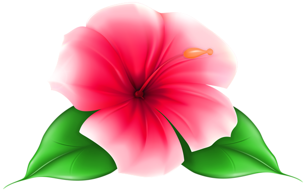 This png image - Exotic Flower PNG Clip Art Image, is available for free download
