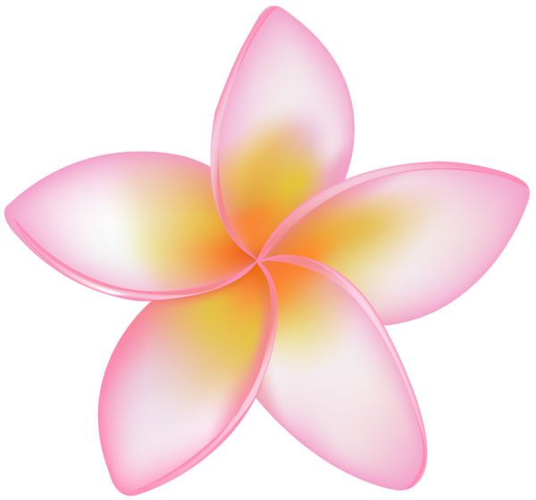 This png image - Exotic Flower Pink PNG Clip Art Image, is available for free download