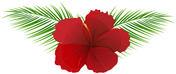 This png image - Exotic Flower Transparent Clip Art Image, is available for free download