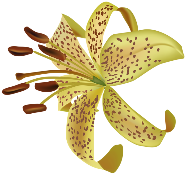 This png image - Exotic Flower Transparent Clip Art PNG Image, is available for free download