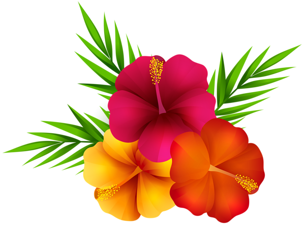 Exotic Flowers PNG Clip Art Image | Gallery Yopriceville - High-Quality ...