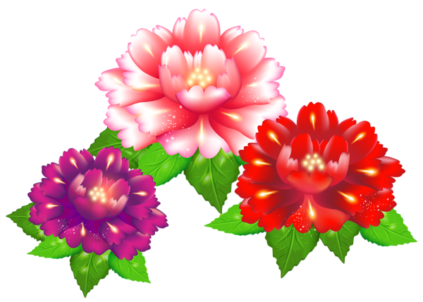 This png image - Exotic Flowers PNG Clipart Image, is available for free download