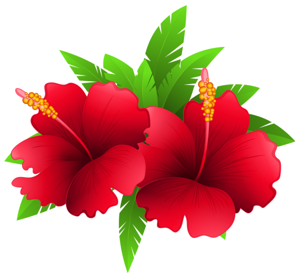 This png image - Exotic Flowers and Plant PNG Clipart Image, is available for free download
