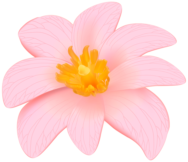 This png image - Exotic Pink Flower Clip Art PNG Image, is available for free download