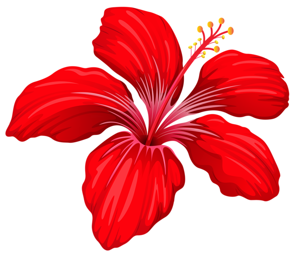 Exotic Red Flower PNG Image | Gallery Yopriceville - High-Quality Free ...