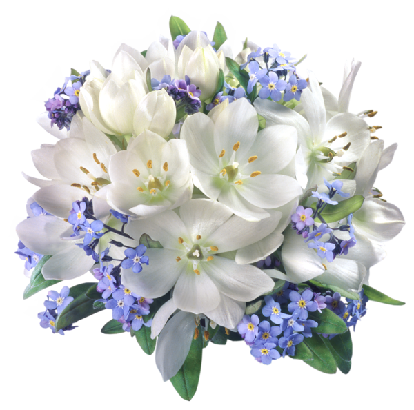 This png image - Floral Composition Transparent PNG Picture, is available for free download