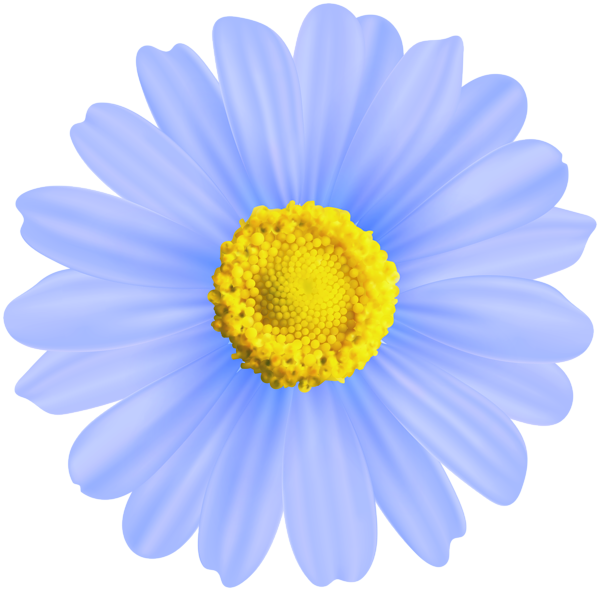 This png image - Flower Blue Decorative Transparent Image, is available for free download