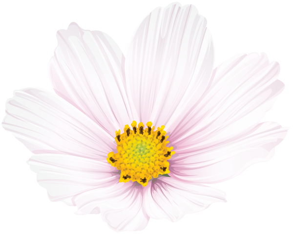 This png image - Flower Clip Art PNG Image, is available for free download