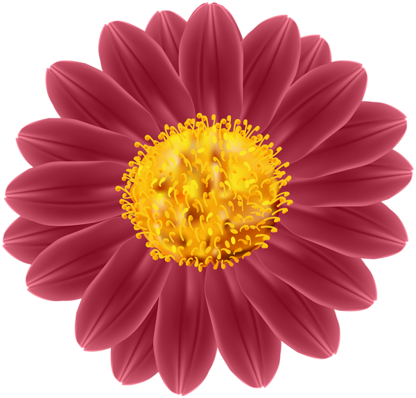 This png image - Flower Clip Art PNG Image, is available for free download