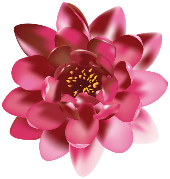 This png image - Flower Clip Art PNG Transparent Image, is available for free download