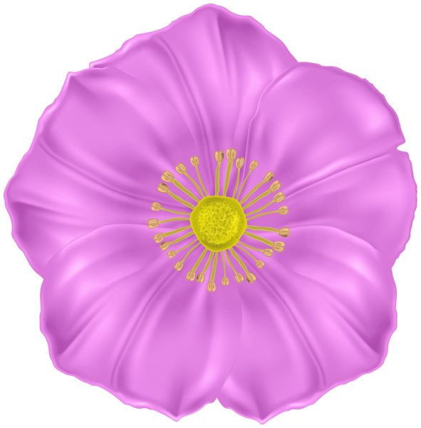This png image - Flower Deco PNG Clipart, is available for free download