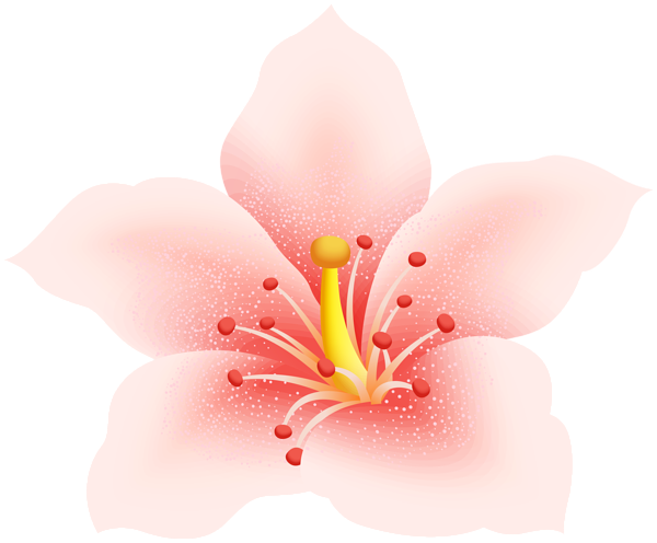 This png image - Flower Decor PNG Clipart, is available for free download
