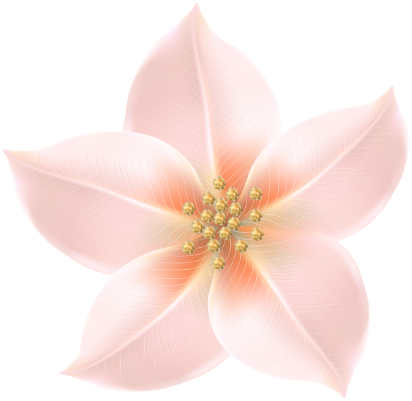This png image - Flower Decorative Transparent Image, is available for free download