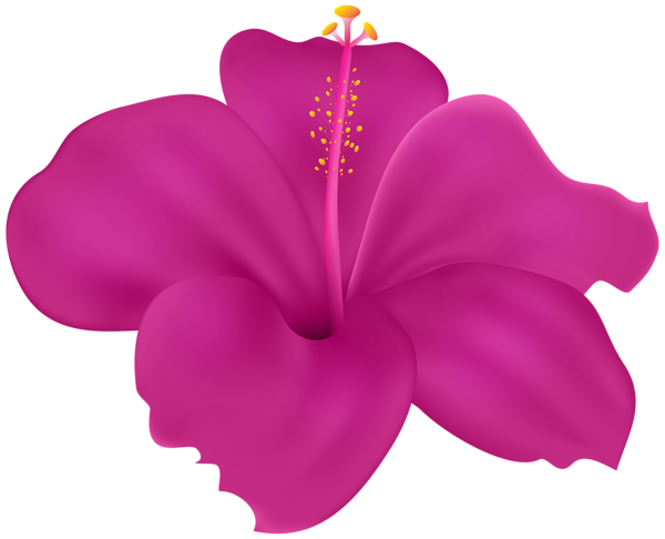 This png image - Flower Hibiscus PNG Transparent Clipart, is available for free download