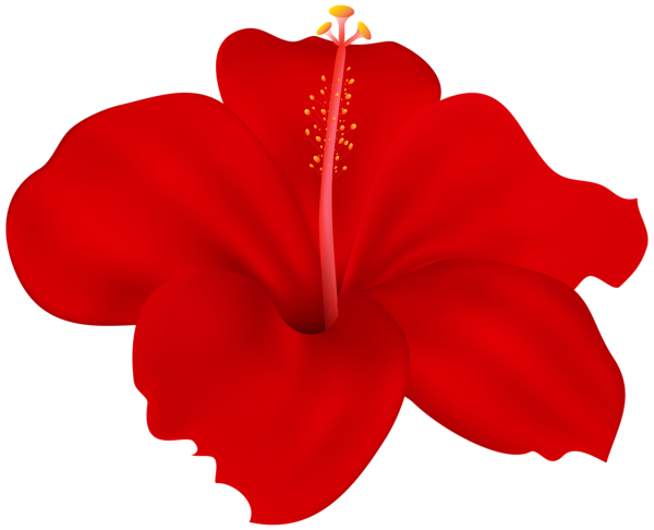 This png image - Flower Hibiscus Red PNG Transparent Clipart, is available for free download