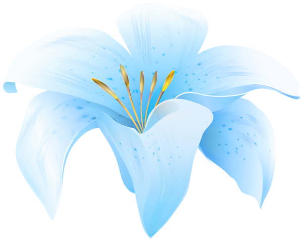 This png image - Flower Lilium Blue PNG Clipart, is available for free download