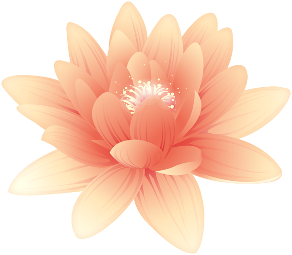 This png image - Flower Orange Clip Art, is available for free download