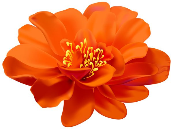 This png image - Flower Orange Transparent PNG Clip Art Image, is available for free download
