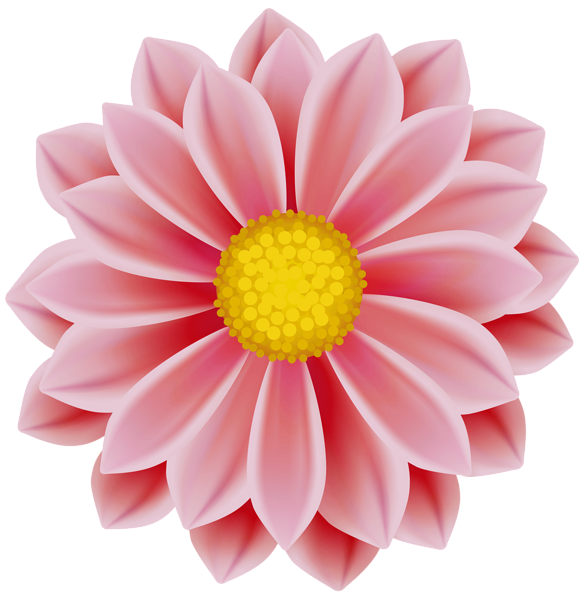 This png image - Flower PNG Clip Art, is available for free download