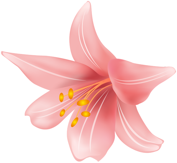 This png image - Flower PNG Clip Art Transparent Image, is available for free download
