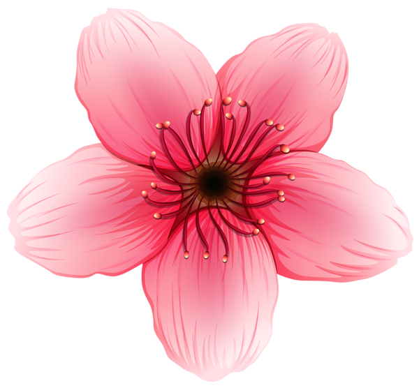 This png image - Flower PNG Clipart Image, is available for free download