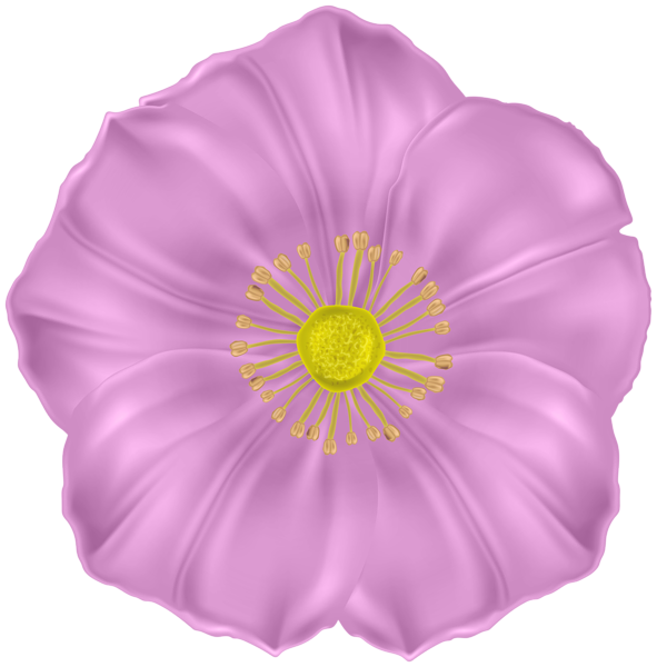 This png image - Flower Pink Deco PNG Clipart, is available for free download