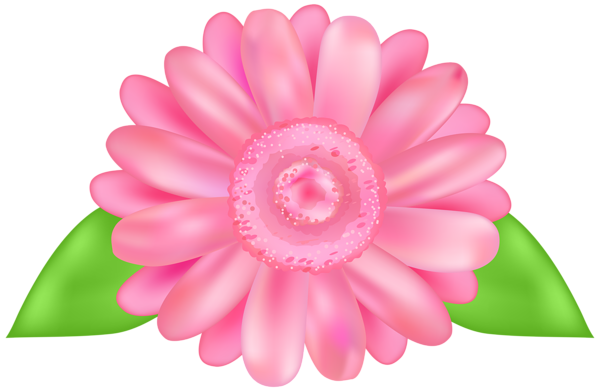 Flower Pink Transparent Image​  Gallery Yopriceville - High-Quality Free  Images and Transparent PNG Clipart