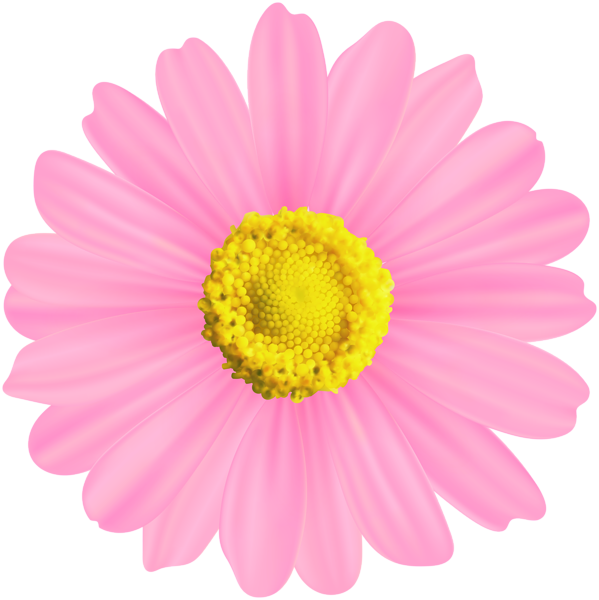 This png image - Flower Pink Decorative Transparent PNG Image, is available for free download