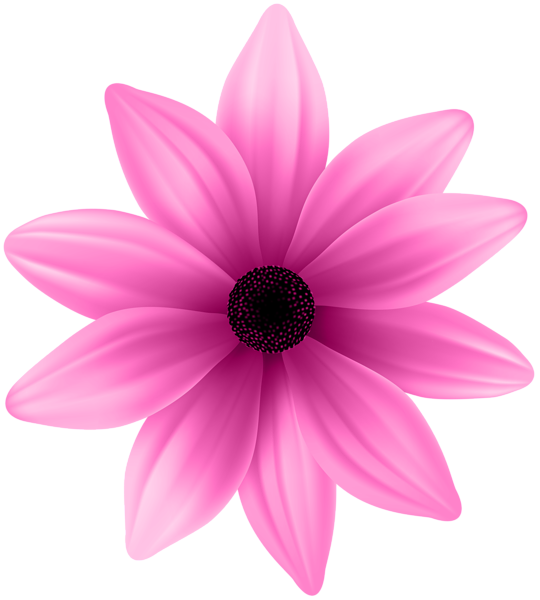 Flower Pink PNG Clip Art Image | Gallery Yopriceville - High-Quality