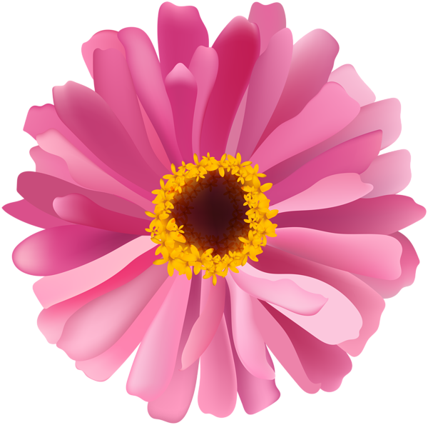 Flower Pink PNG Image | Gallery Yopriceville - High-Quality Free Images ...