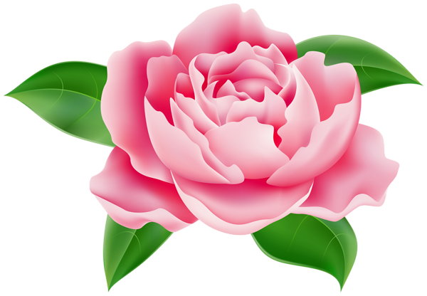 This png image - Flower Pink Transparent Image, is available for free download