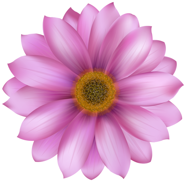 This png image - Flower Pink Transparent PNG Clip Art Image, is available for free download