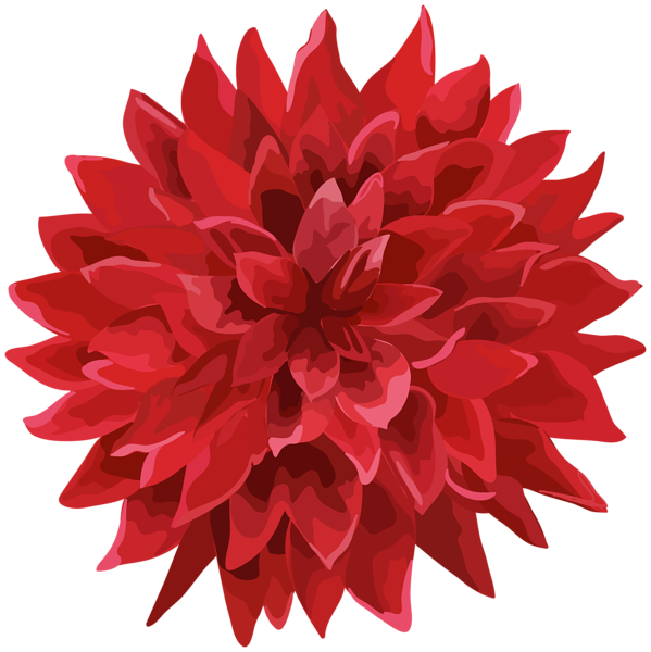 This png image - Flower Red PNG Clip Art Transparent Image, is available for free download