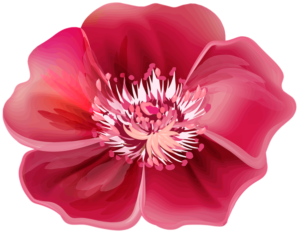 Flower Red PNG Clipart | Gallery Yopriceville - High-Quality Images and