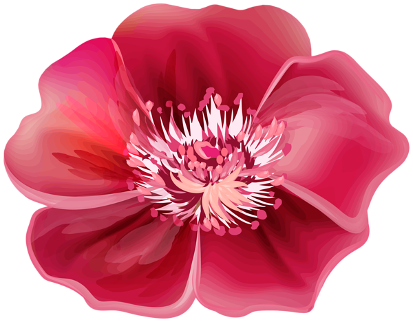 This png image - Flower Red PNG Clipart, is available for free download