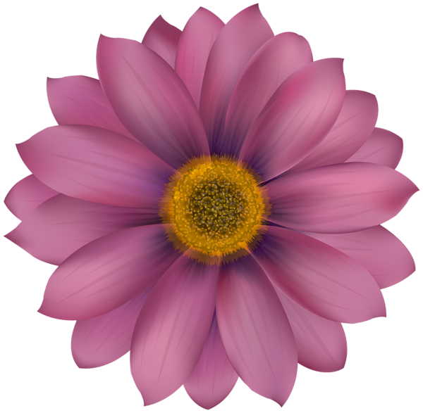 Flower Transparent Png Clip Art 